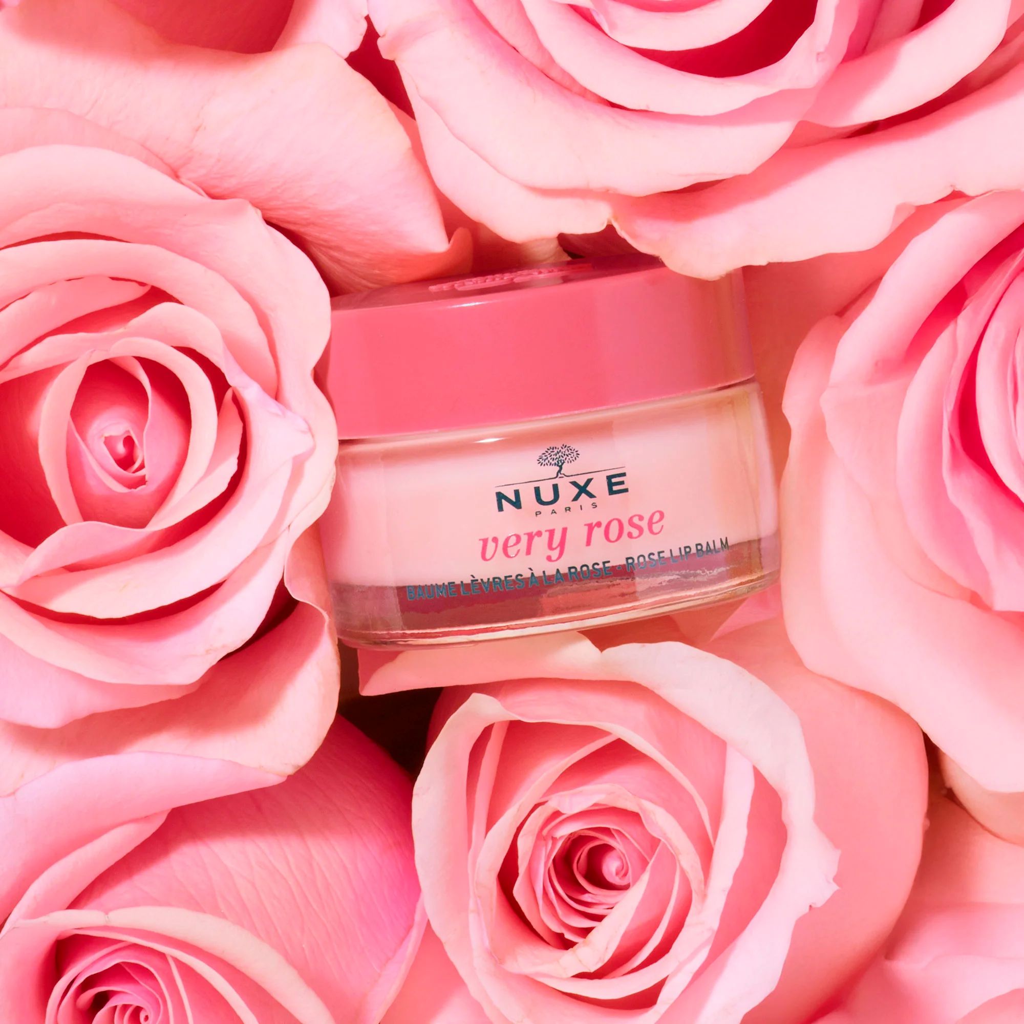 NUXE VERY ROSE balsam za usne 15gr
