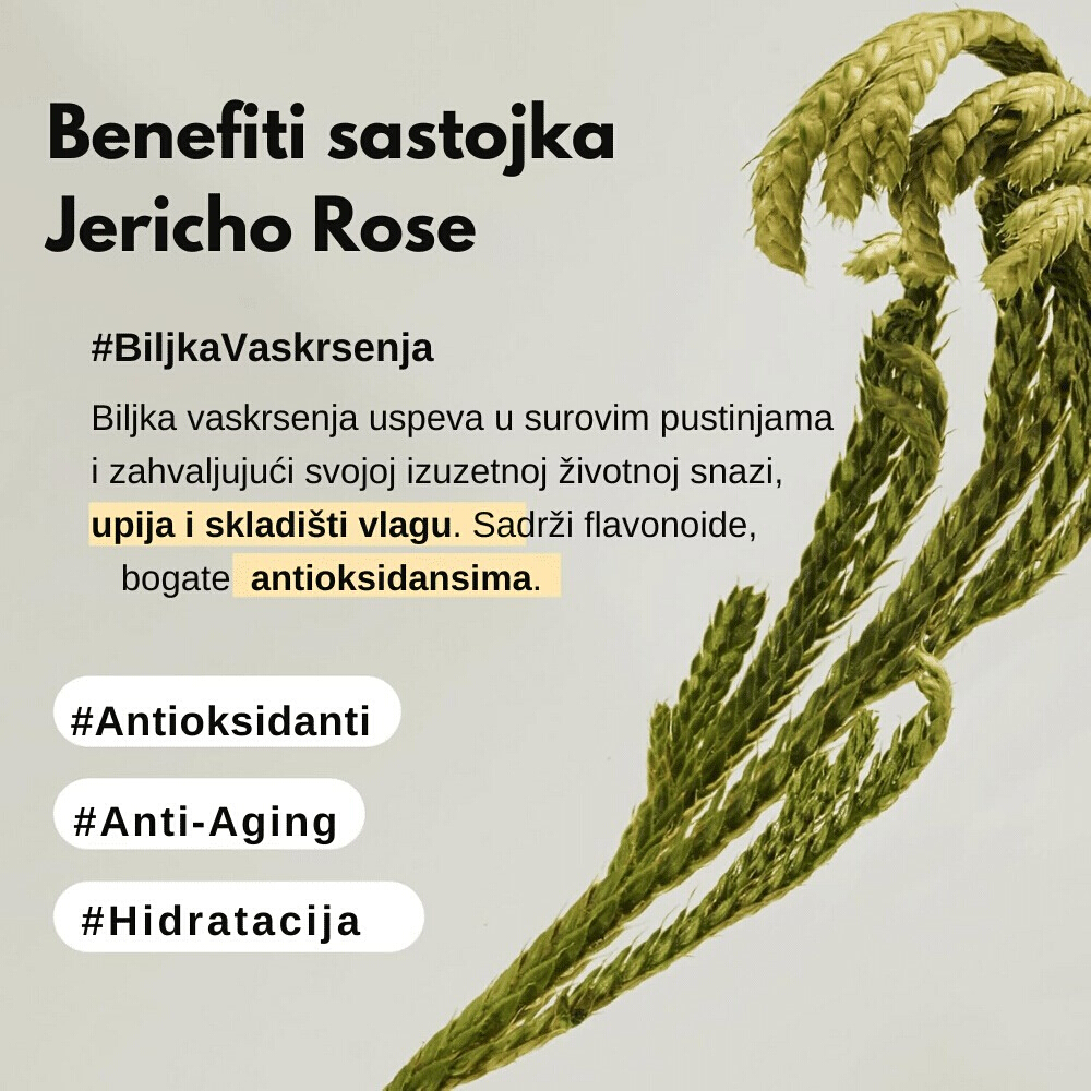 Collagen Eye Patch Jericho Rose Jelly 60pcs