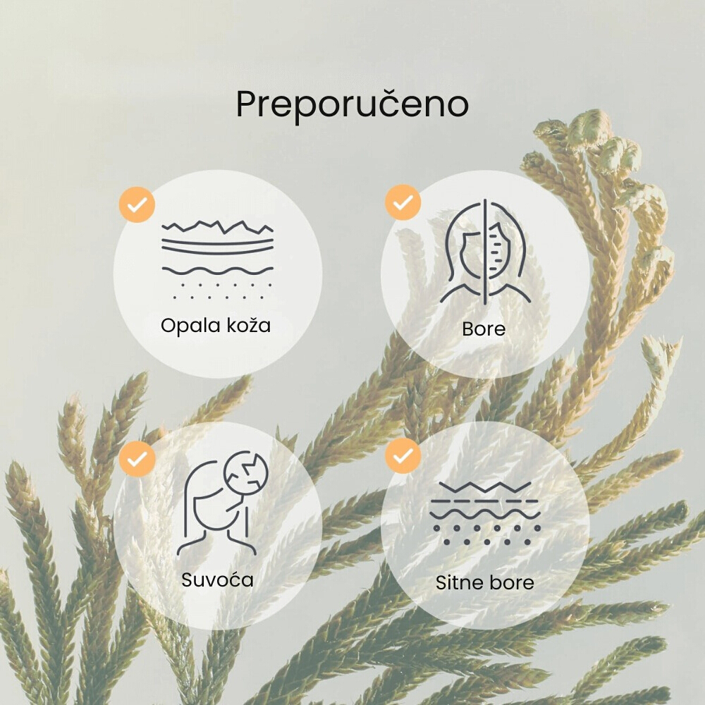 Collagen Gel Mask Jericho Rose Jelly 1ea