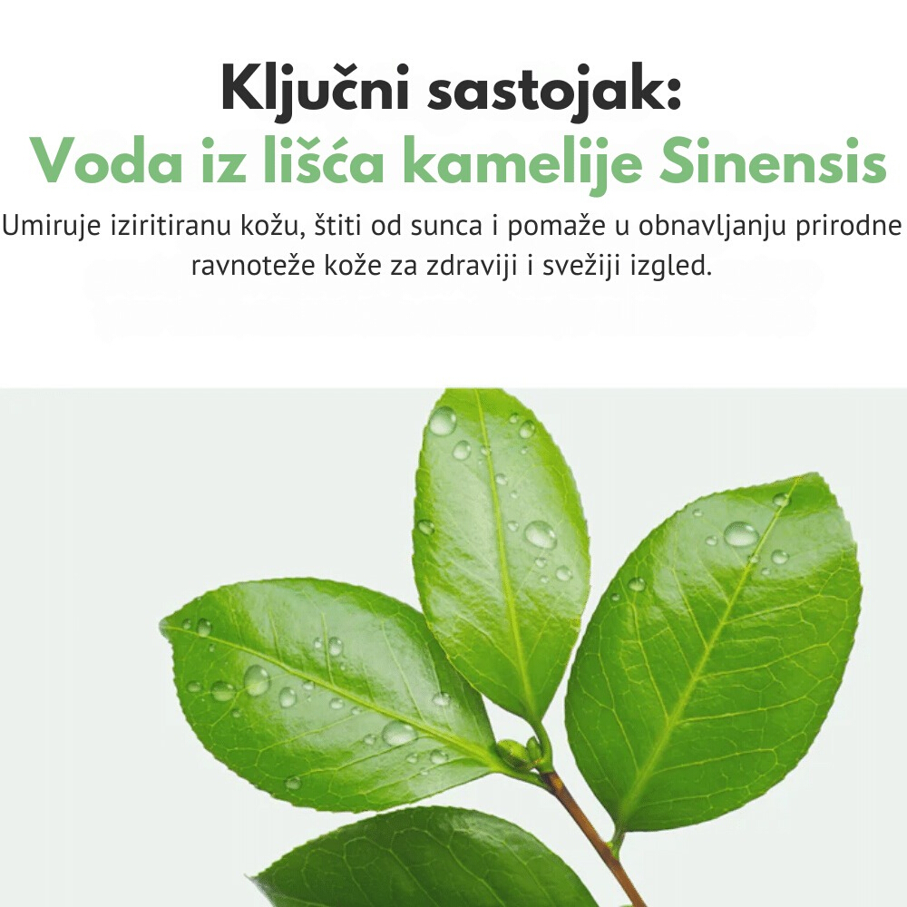 Green Tea Fresh Sunscreen 45ml