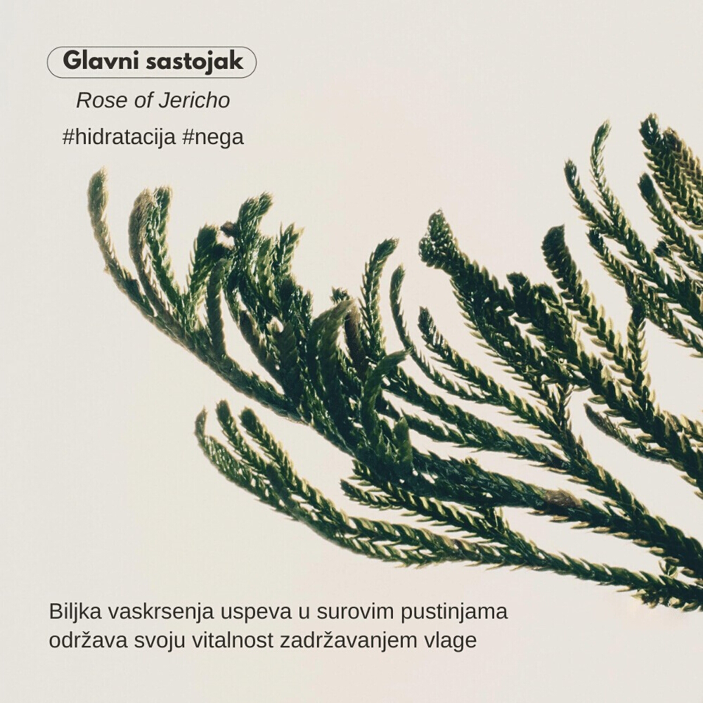 Jericho Rose Bifida Serum Firming Drop 50ml